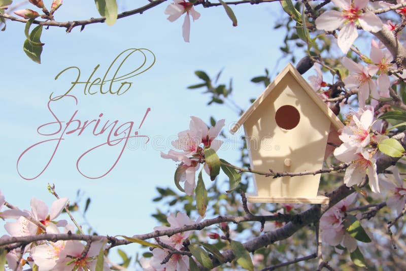 Λίγο birdhouse την άνοιξη πέρα από το δέντρο κερασιών ανθών στοκ φωτογραφίες με δικαίωμα ελεύθερης χρήσης Λίγο birdhouse την άνοιξη πέρα από το δέντρο κερασιών ανθών στοκ φωτογραφίες με δικαίωμα ελεύθερης χρήσης