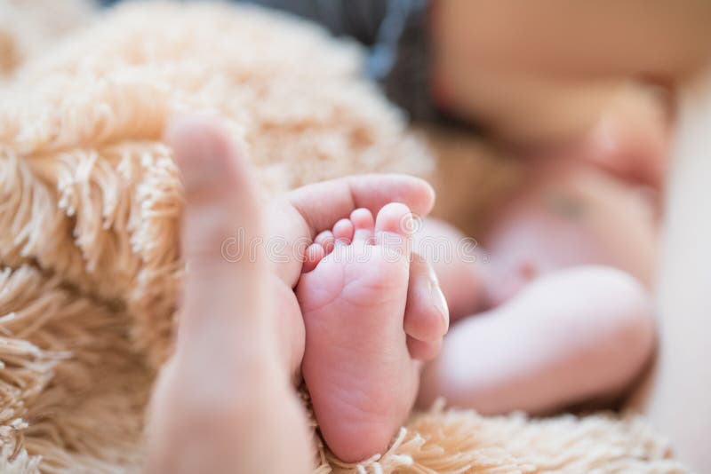 Λίγο πόδι υπό εξέταση Πατέρας που κρατά τα πόδια ενός νεογέννητου στα χέρια του Προσοχές Mom για το μωρό μετά από να πάρει ένα λο στοκ εικόνες Λίγο πόδι υπό εξέταση Πατέρας που κρατά τα πόδια ενός νεογέννητου στα χέρια του Προσοχές Mom για το μωρό μετά από να πάρει ένα λο στοκ εικόνες