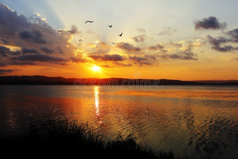 Colorful sunset scenery in the Chittaway Bay of Lake Tuggerah, Central Coast, Australia, with Silver gulls flying in the sky. Colorful sunset scenery in the Chittaway Bay of Lake Tuggerah, Central Coast, Australia, with Silver gulls flying in the sky