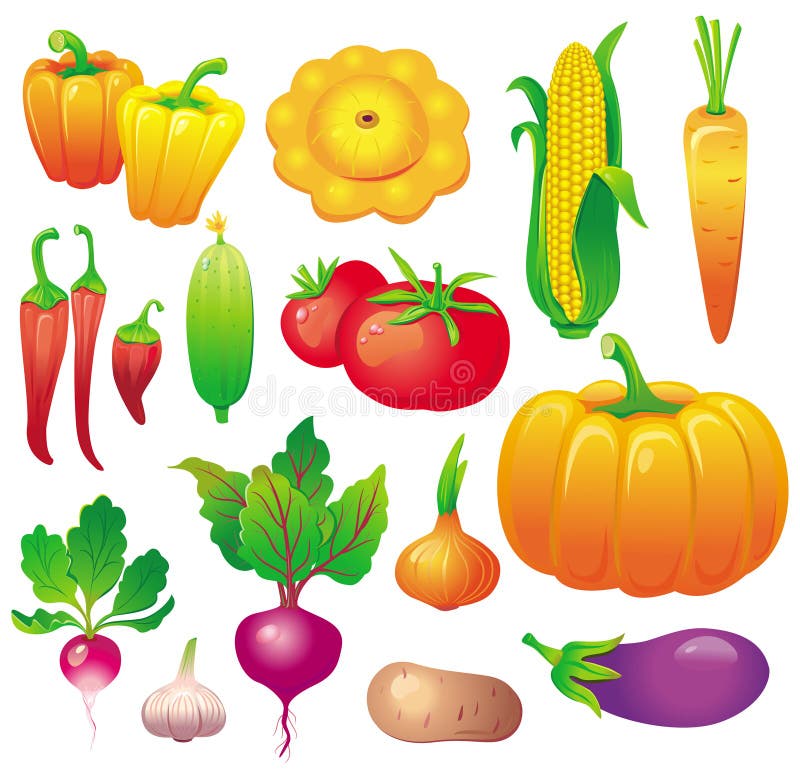 Set of colorful vegetables. Vector Illustration. Set of colorful vegetables. Vector Illustration