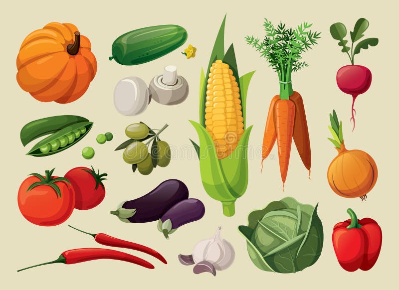 A set of delicious vegetables. A set of delicious vegetables.