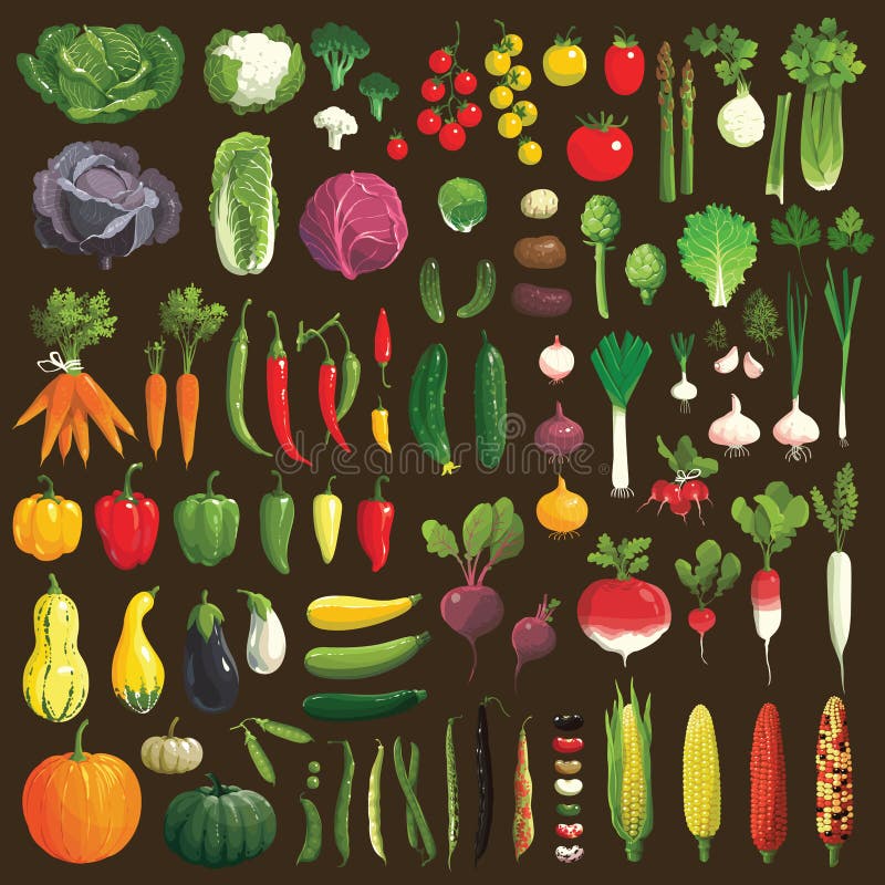 Great collection of the clip art vegetables. Great collection of the clip art vegetables