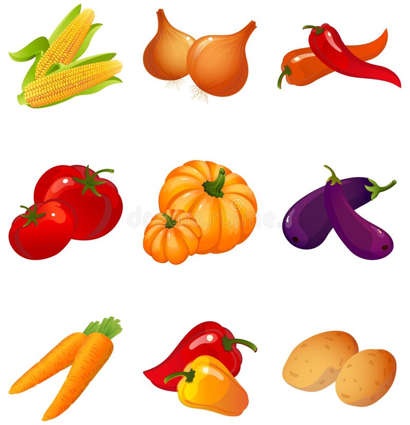 Vector illustration - set of vegetables. Vector illustration - set of vegetables