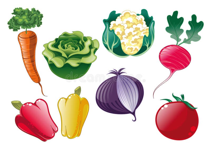 Vegetables, vector image, software: illustrator. Vegetables, vector image, software: illustrator