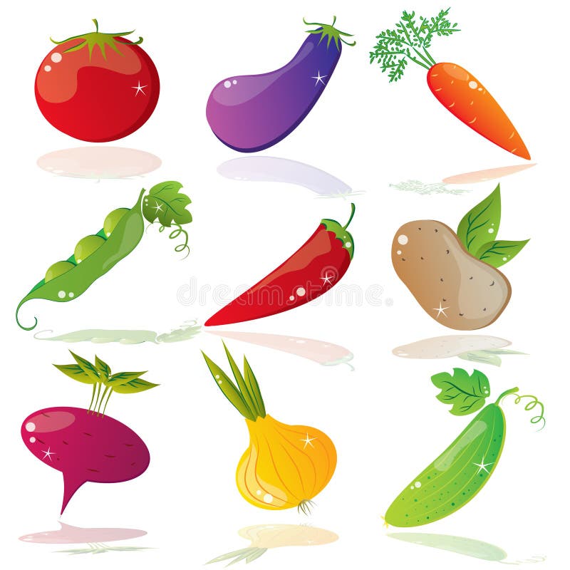 Set of different vector vegetables. Set of different vector vegetables