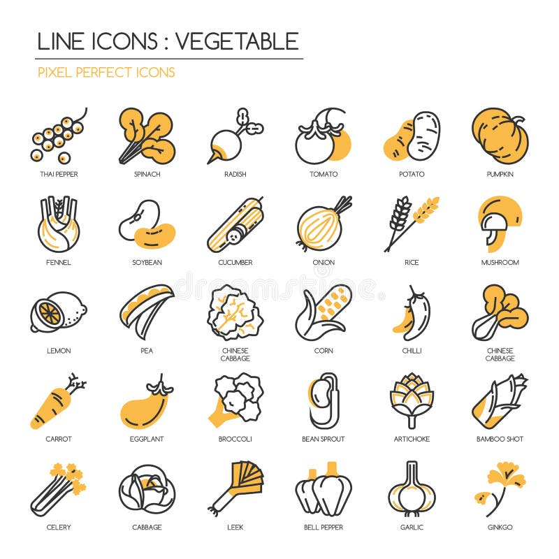 Vegetable , thin line icons set ,pixel perfect icon. Vegetable , thin line icons set ,pixel perfect icon