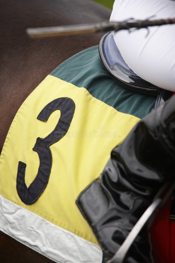 Λεπτομέρεια και jockey αλόγων αγώνων έτοιμες να τρέξουν στοκ εικόνες με δικαίωμα ελεύθερης χρήσης Λεπτομέρεια και jockey αλόγων αγώνων έτοιμες να τρέξουν στοκ εικόνες με δικαίωμα ελεύθερης χρήσης