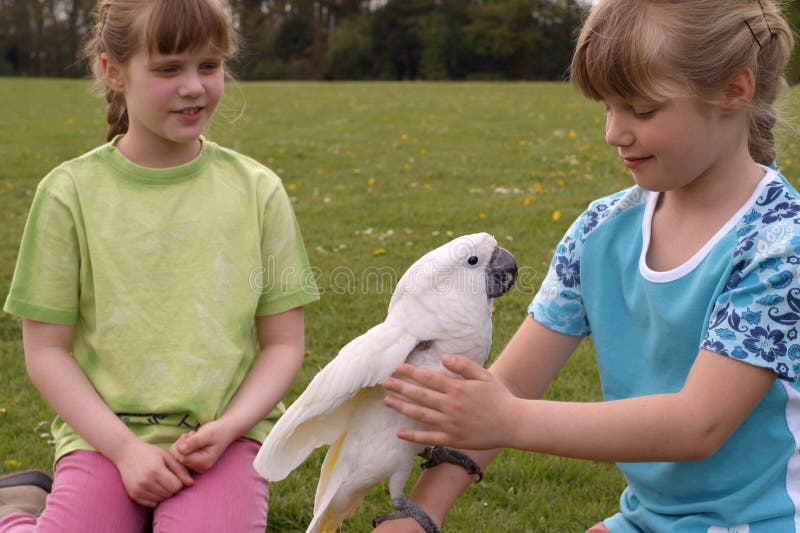 λευκό cockatoo παιδιών στοκ εικόνα με δικαίωμα ελεύθερης χρήσης