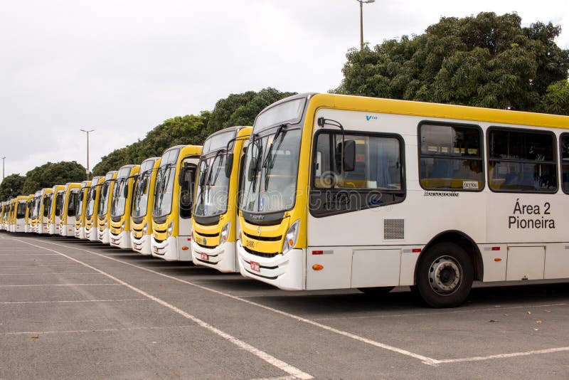 Brasilia, Brazil-April 9, 2020: City Buses Parked and used as Transportation needs have slowed down in the Capital City of Brasilia. Brasilia, Brazil-April 9, 2020: City Buses Parked and used as Transportation needs have slowed down in the Capital City of Brasilia.