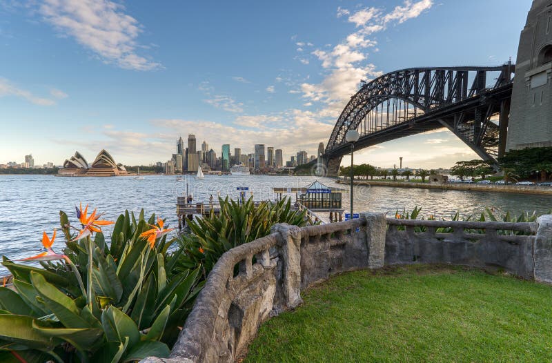 Sydney Harbour and the bridge with lawn and bird of paradise garden on the foreground. Sydney Harbour and the bridge with lawn and bird of paradise garden on the foreground