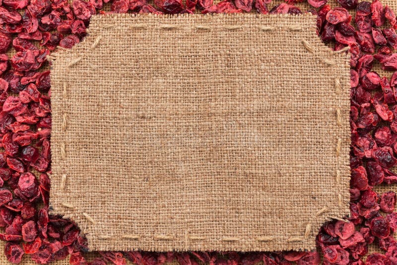 Λογαριασμένο πλαίσιο φιαγμένο από burlap στο ξηρό το βακκίνιο στοκ φωτογραφία με δικαίωμα ελεύθερης χρήσης Λογαριασμένο πλαίσιο φιαγμένο από burlap στο ξηρό το βακκίνιο στοκ φωτογραφία με δικαίωμα ελεύθερης χρήσης