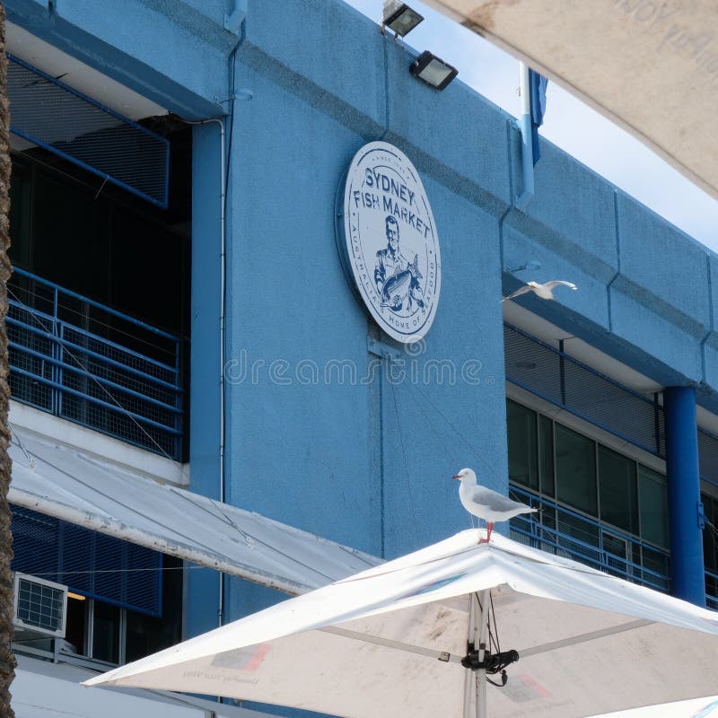 Λογότυπο αγοράς ψαριών του Sidney στον μπλε τοίχο στοκ φωτογραφίες