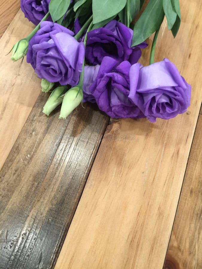 Λουλούδι Lysianthus στο ξύλινο υπόβαθρο στοκ εικόνες Λουλούδι Lysianthus στο ξύλινο υπόβαθρο στοκ εικόνες