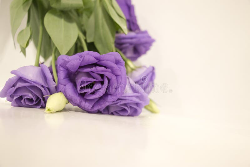 Λουλούδι Lysianthus στο ξύλινο υπόβαθρο στοκ εικόνα Λουλούδι Lysianthus στο ξύλινο υπόβαθρο στοκ εικόνα