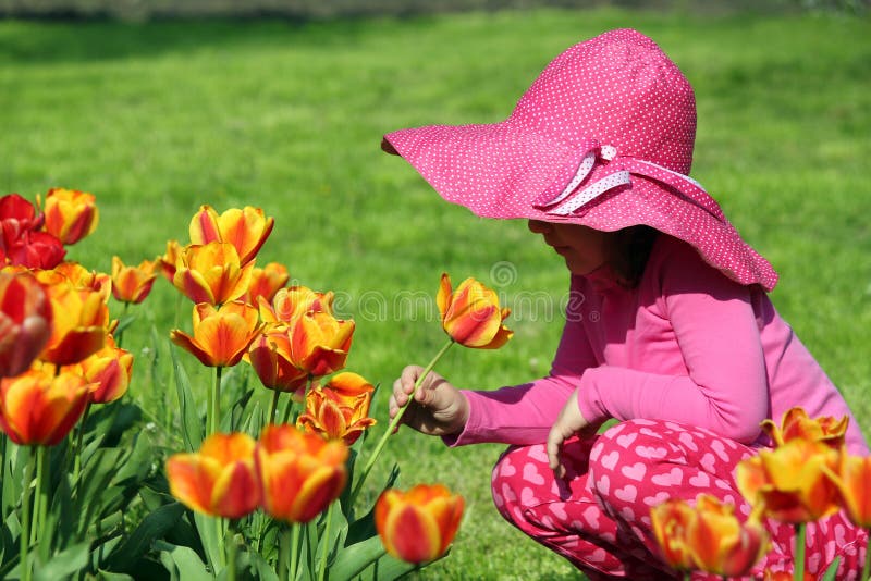 Little girl smell tulip flower spring scene. Little girl smell tulip flower spring scene