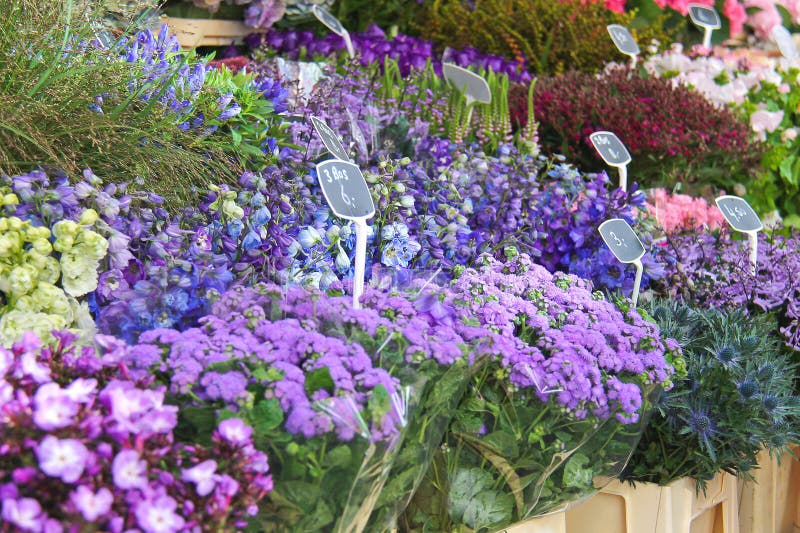 Λουλούδια για την πώληση σε μια ολλανδική αγορά λουλουδιών