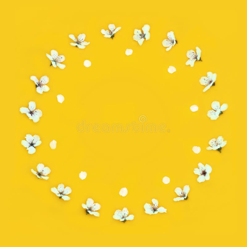 Λουλούδι Spring Cherry Blossom and Petal Beltane Στεφάνη στοκ φωτογραφία με δικαίωμα ελεύθερης χρήσης