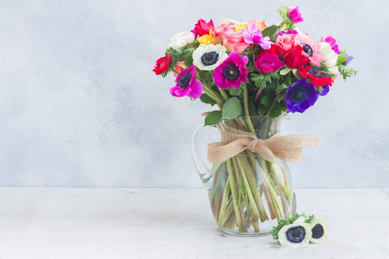 Fresh colorful Anemones flowers bouquet in vase on gray stone background. Fresh colorful Anemones flowers bouquet in vase on gray stone background