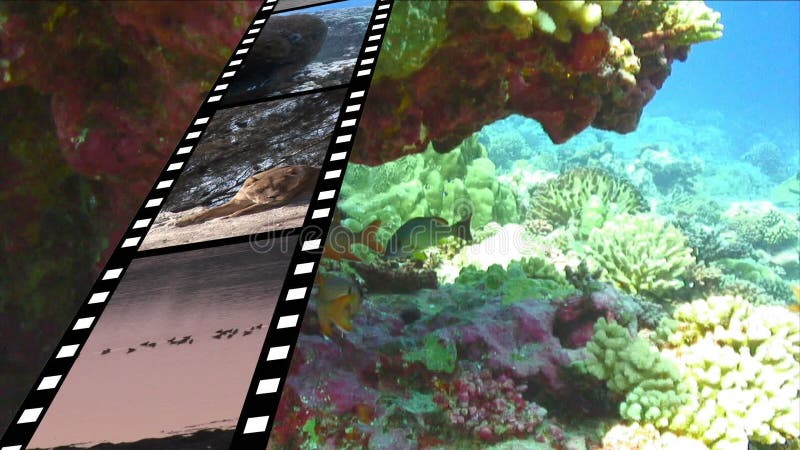 Λουρίδα ταινιών και κάτω από το νερό