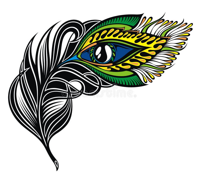 Λοφίο Peacock Φτερό Peacock διανυσματική απεικόνιση Λοφίο Peacock Φτερό Peacock διανυσματική απεικόνιση