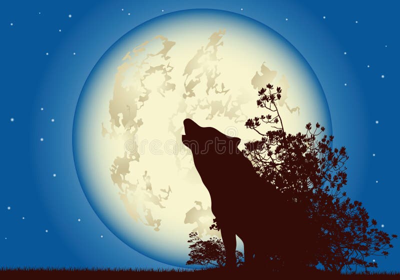 Vector image with a wolf howling at the moon. Vector image with a wolf howling at the moon.