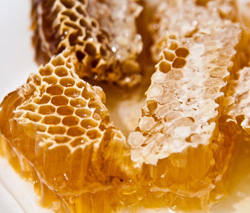 Stacks of honey comb on a plate. Stacks of honey comb on a plate