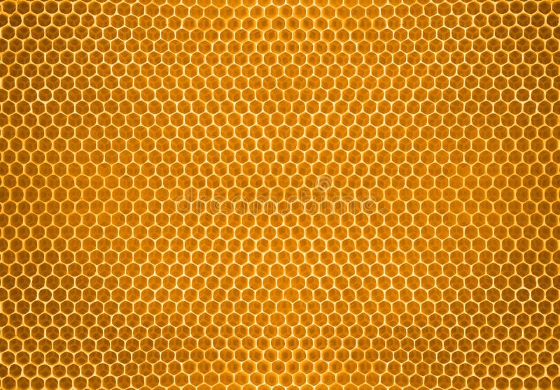 Bee honey in honeycomb texture. Bee honey in honeycomb texture