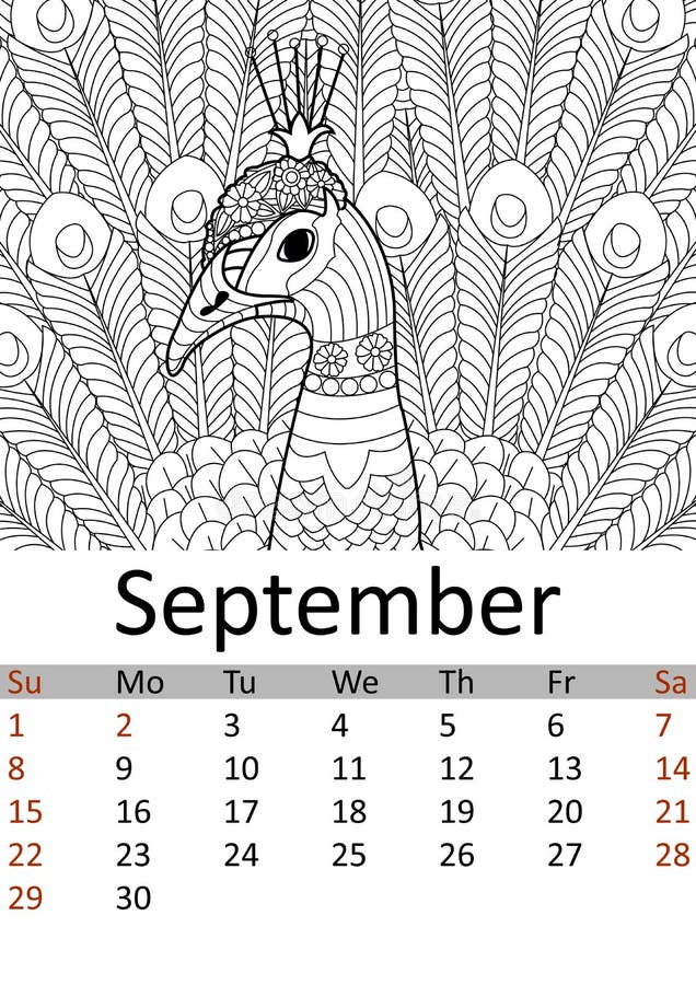 Calendar September month 2019. Antistress coloring bird, peacock with a tail. Wild animal patterns. Vector illustration. Calendar September month 2019. Antistress coloring bird, peacock with a tail. Wild animal patterns. Vector illustration