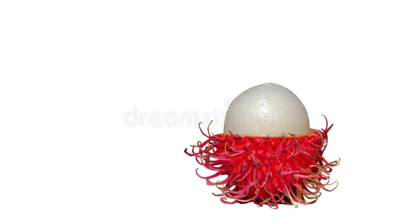 μία rambutan απομονωμένη σε λευκό με διάστημα αντιγραφής διαδρομής αποκοπής. μία rambutan απομονωμένη σε λευκό με αντίληψη κατάστασης κατάστασης αντιγράφου διαδρομής αποκοπής