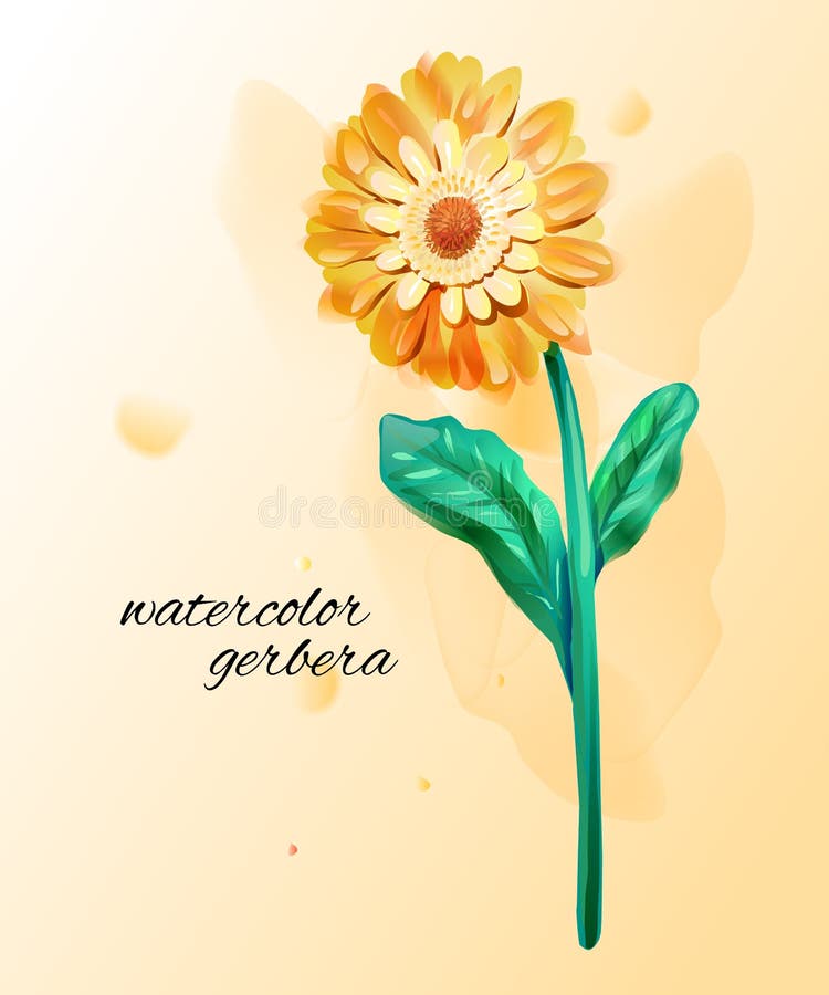 Μίμηση Watercolor του κίτρινου gerbera Ενιαίο λουλούδι με το χρώμα απεικόνιση αποθεμάτων Μίμηση Watercolor του κίτρινου gerbera Ενιαίο λουλούδι με το χρώμα απεικόνιση αποθεμάτων