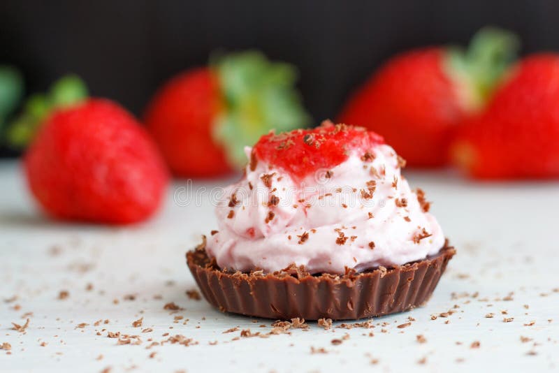 Μίνι Mousse φραουλών σοκολάτας επιδόρπιο στοκ φωτογραφία με δικαίωμα ελεύθερης χρήσης Μίνι Mousse φραουλών σοκολάτας επιδόρπιο στοκ φωτογραφία με δικαίωμα ελεύθερης χρήσης