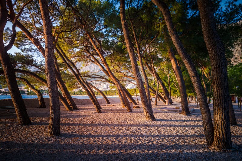 Μαλακό φως του ήλιου απογεύματος σε μια κενή παραλία σε Makarska, Κροατία στοκ εικόνες Μαλακό φως του ήλιου απογεύματος σε μια κενή παραλία σε Makarska, Κροατία στοκ εικόνες