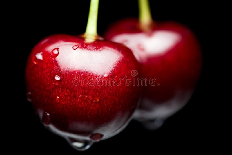 Sweet cherries with water drops isolated on black. Sweet cherries with water drops isolated on black