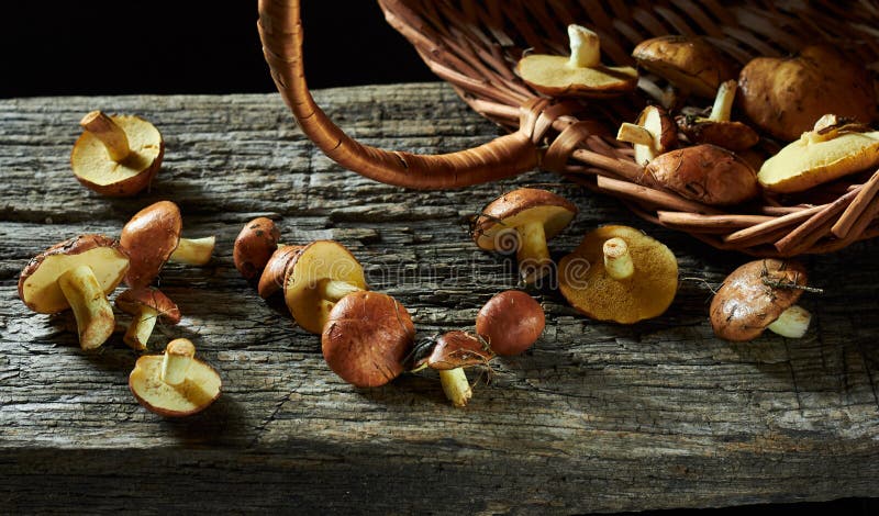 ΜανιτάÏια Boletus χÏθηκαν από το καλάθι με τα λυγαÏιά σε παλιό ξÏλινο σανίΠστοκ φωτογραφίες ΜανιτάÏια Boletus χÏθηκαν από το καλάθι με τα λυγαÏιά σε παλιό ξÏλινο σανίΠστοκ φωτογραφίες