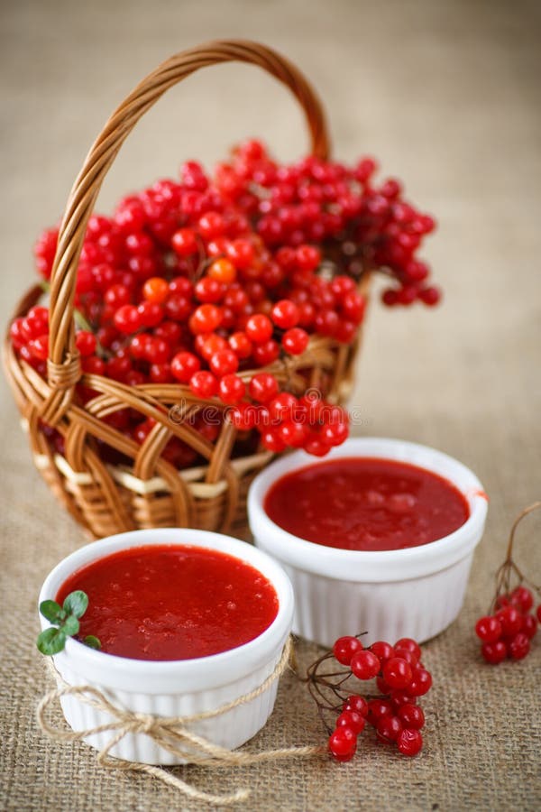 Μαρμελάδα Viburnum στοκ εικόνες Μαρμελάδα Viburnum στοκ εικόνες