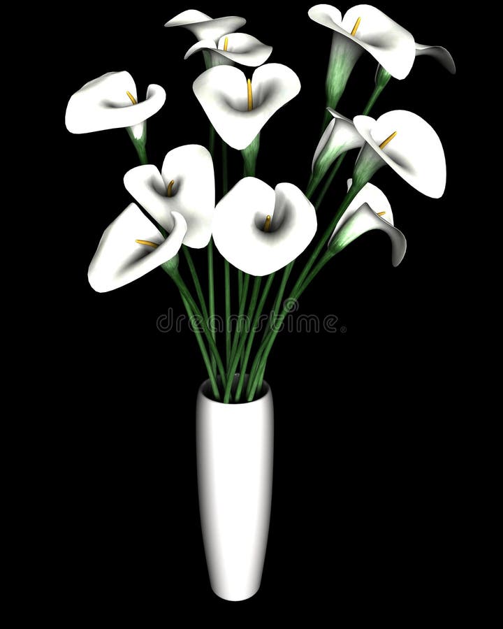 μαύρο calla απομονωμένο λουλούδι λευκό κρίνων