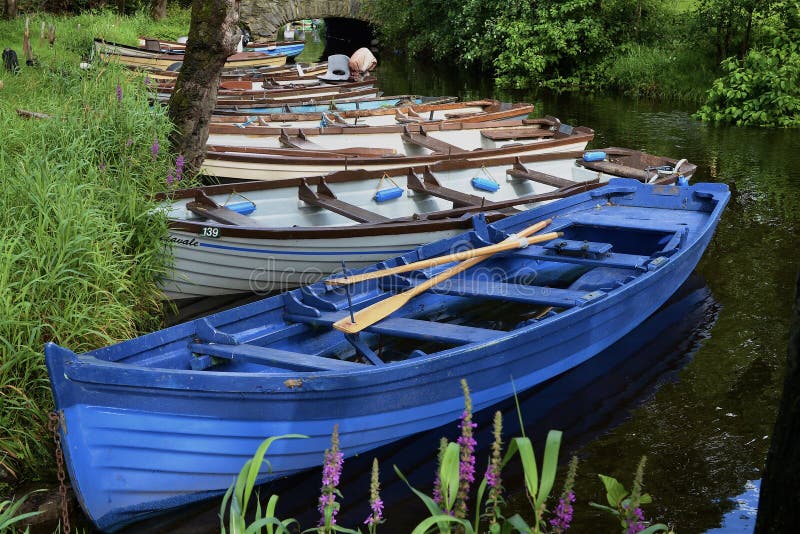 Rowboats align a small creek in rural Ireland. Rowboats align a small creek in rural Ireland.