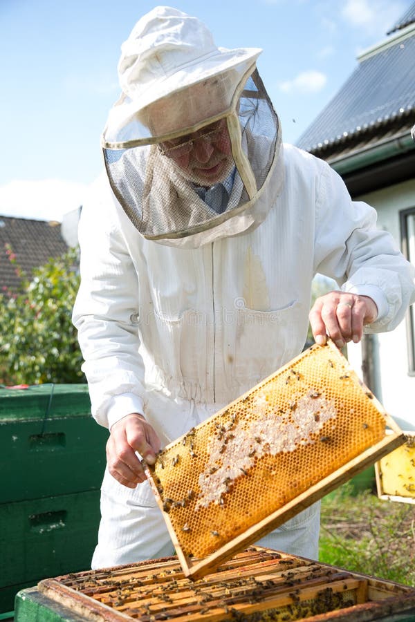 Μελισσοκόμος που φροντίζει για την αποικία μελισσών