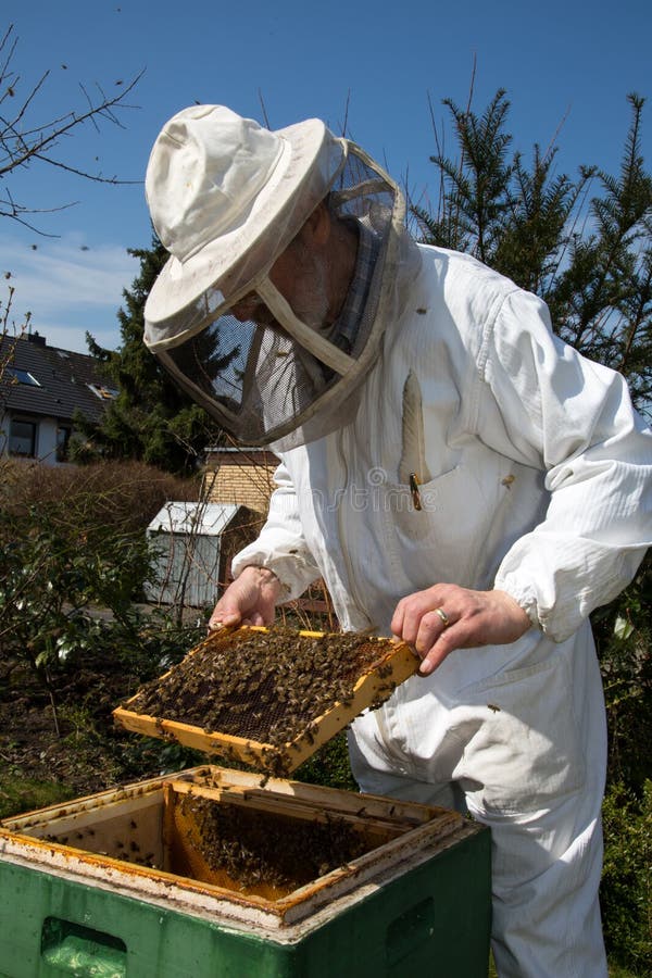Μελισσοκόμος που φροντίζει για την αποικία μελισσών