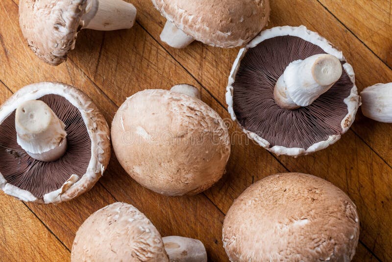Μεγάλα champignon μανιτάρια που διασκορπίζονται στον ξύλινο τέμνοντα πίνακα άνωθεν στοκ εικόνες Μεγάλα champignon μανιτάρια που διασκορπίζονται στον ξύλινο τέμνοντα πίνακα άνωθεν στοκ εικόνες