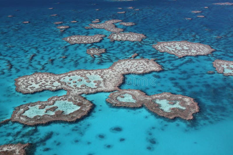 One of Australia's most remarkable natural gifts, the Great Barrier Reef is blessed with the breathtaking beauty of the world's largest coral reef. The reef contains an abundance of marine life and comprises of over 3000 individual reef systems and coral cays and literally hundreds of picturesque tropical islands with some of the worlds most beautiful sun-soaked, golden beaches. One of Australia's most remarkable natural gifts, the Great Barrier Reef is blessed with the breathtaking beauty of the world's largest coral reef. The reef contains an abundance of marine life and comprises of over 3000 individual reef systems and coral cays and literally hundreds of picturesque tropical islands with some of the worlds most beautiful sun-soaked, golden beaches.