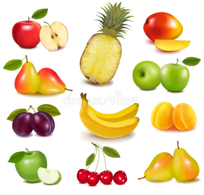 Big group of different fruit. Vector. Big group of different fruit. Vector.