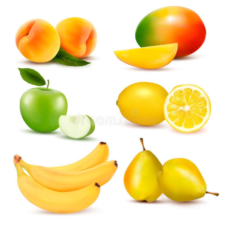 Big set of fresh fruit. Vector illustration. Big set of fresh fruit. Vector illustration