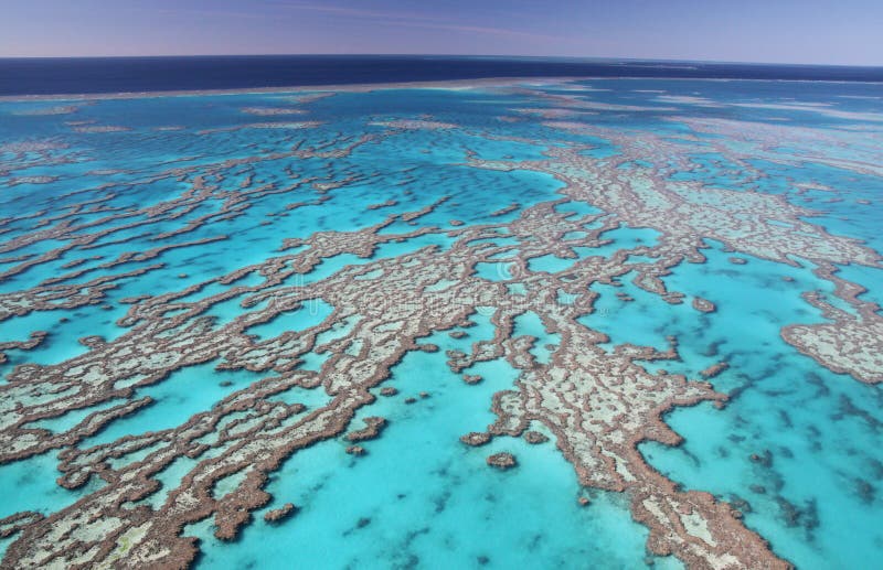 Aerial view of the Great Barrier reef. One of Australia's most remarkable natural landscapes, the Reef is breathtaking in its beauty and is the world's largest coral reef. The reef contains an abundance of marine life and comprises of over 3000 individual reef systems and coral cays and literally hundreds of picturesque tropical islands with some of the worlds most beautiful sun-soaked, golden beaches. Aerial view of the Great Barrier reef. One of Australia's most remarkable natural landscapes, the Reef is breathtaking in its beauty and is the world's largest coral reef. The reef contains an abundance of marine life and comprises of over 3000 individual reef systems and coral cays and literally hundreds of picturesque tropical islands with some of the worlds most beautiful sun-soaked, golden beaches.