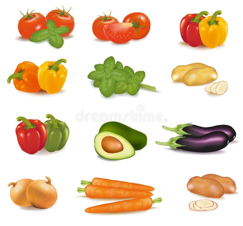 The big colorful group of vegetables. Photo-realistic . The big colorful group of vegetables. Photo-realistic .