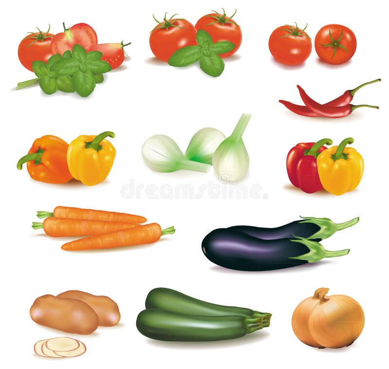 The big colorful group of vegetables. Photo-realistic . The big colorful group of vegetables. Photo-realistic .