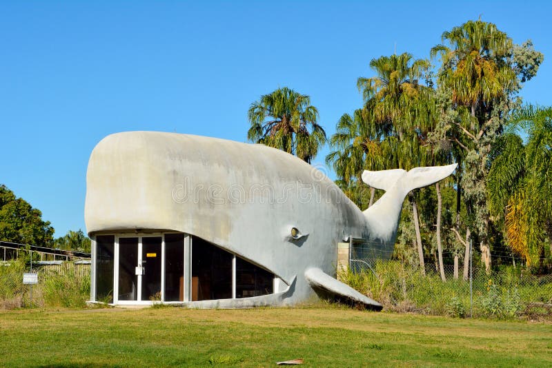 Μεγάλη δομή φαλαινών στην παραλία Kinka, Queensland στοκ φωτογραφία με δικαίωμα ελεύθερης χρήσης