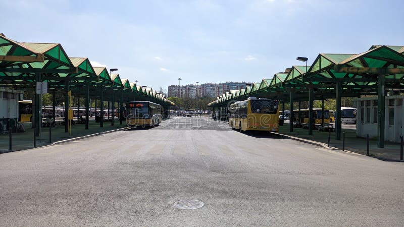 22.03.2023 Many yellow Mercedes public buses stand in a row near the transport stop. 22.03.2023 Many yellow Mercedes public buses stand in a row near the transport stop