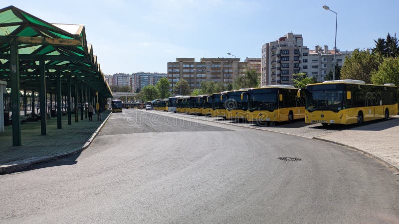 22.03.2023 Many yellow Mercedes public buses stand in a row near the transport stop. 22.03.2023 Many yellow Mercedes public buses stand in a row near the transport stop