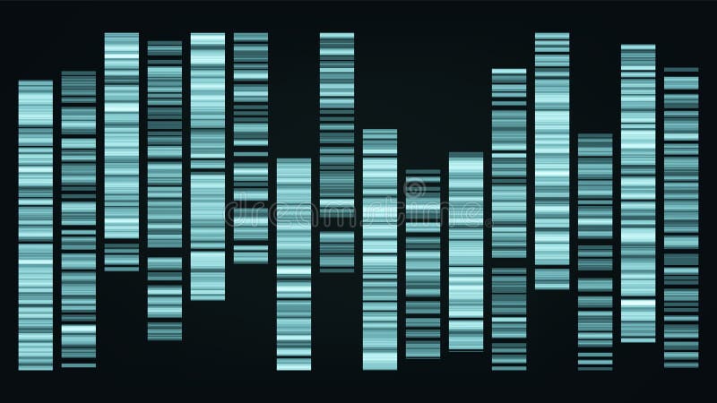 Design Color Big Genomic Data Visualization Vector. Dna Test, Barcoding, Genomic Map Architecture. Medical Chromosome Analysis Graphic Bioinformatic Diagram Template Flat Illustration. Design Color Big Genomic Data Visualization Vector. Dna Test, Barcoding, Genomic Map Architecture. Medical Chromosome Analysis Graphic Bioinformatic Diagram Template Flat Illustration